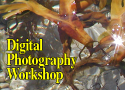 Digital Photography Workshop - St. Lawrence- Maritime, Tadoussac, Bergeronnes, Quebec