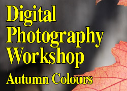 A Digital Photography Workshop on the theme Autumn Colours