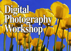 A Digital Photography Workshop on the theme Springtime